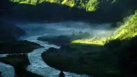 小猫钓鱼游戏龙王版有船