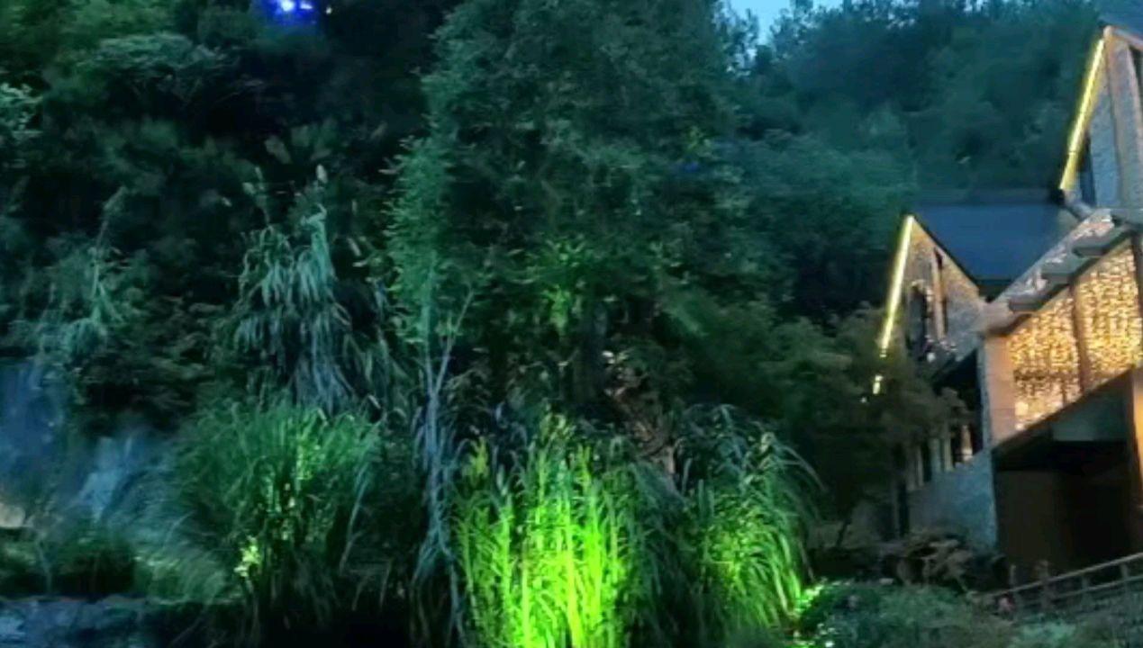 去年汽车出口劲增逾两倍